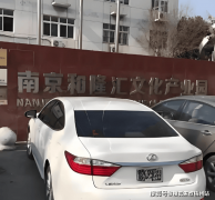 <b>挖掘并搀扶了一批具有潜力的目</b>